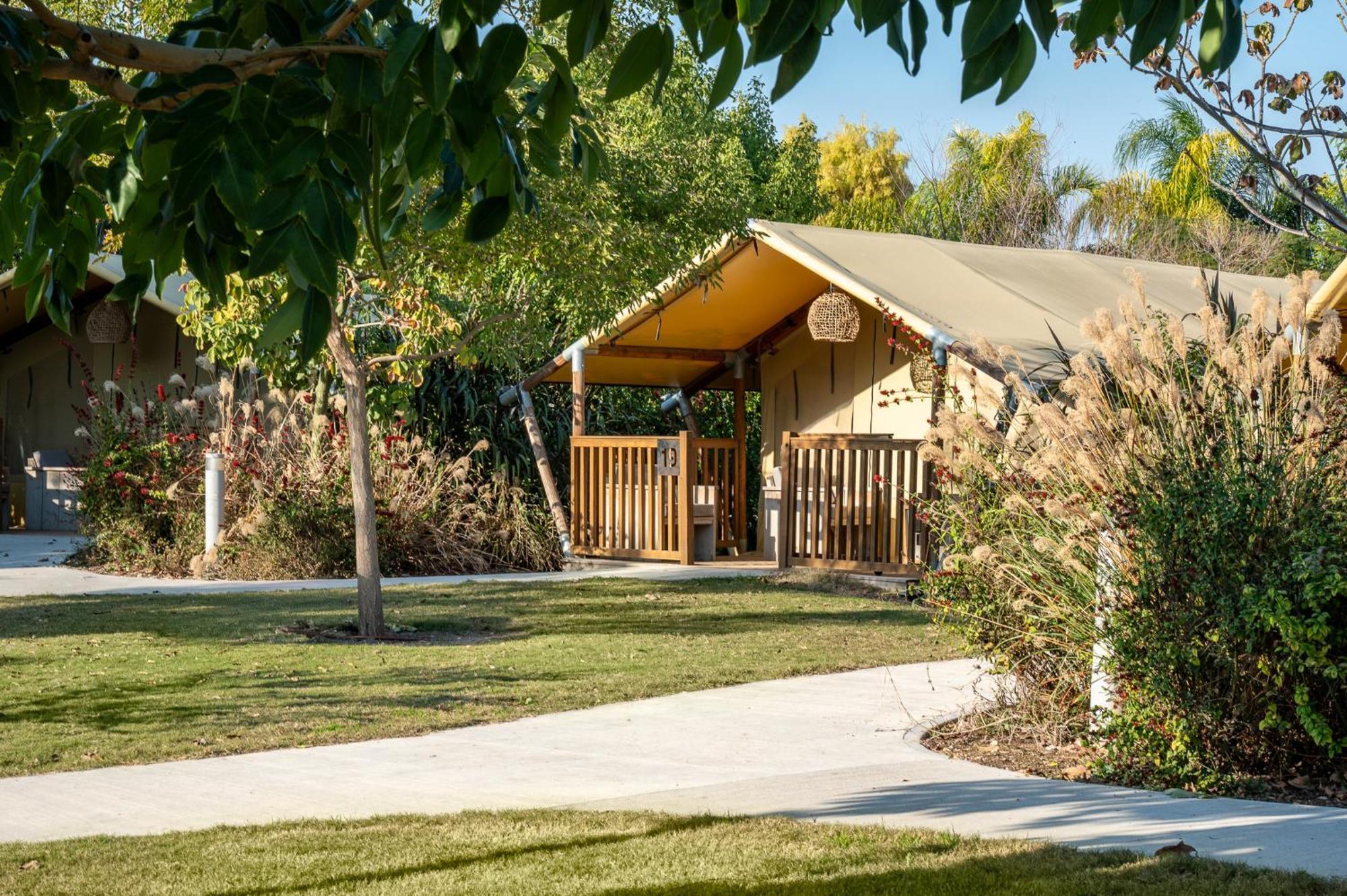 Layla Glamping Hotell Nir Dawid Eksteriør bilde